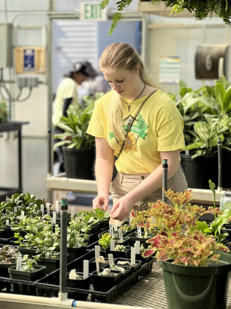 Horticulture Department Hosts Annual Plant Sale
